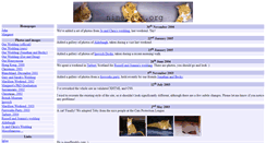 Desktop Screenshot of ninecats.org